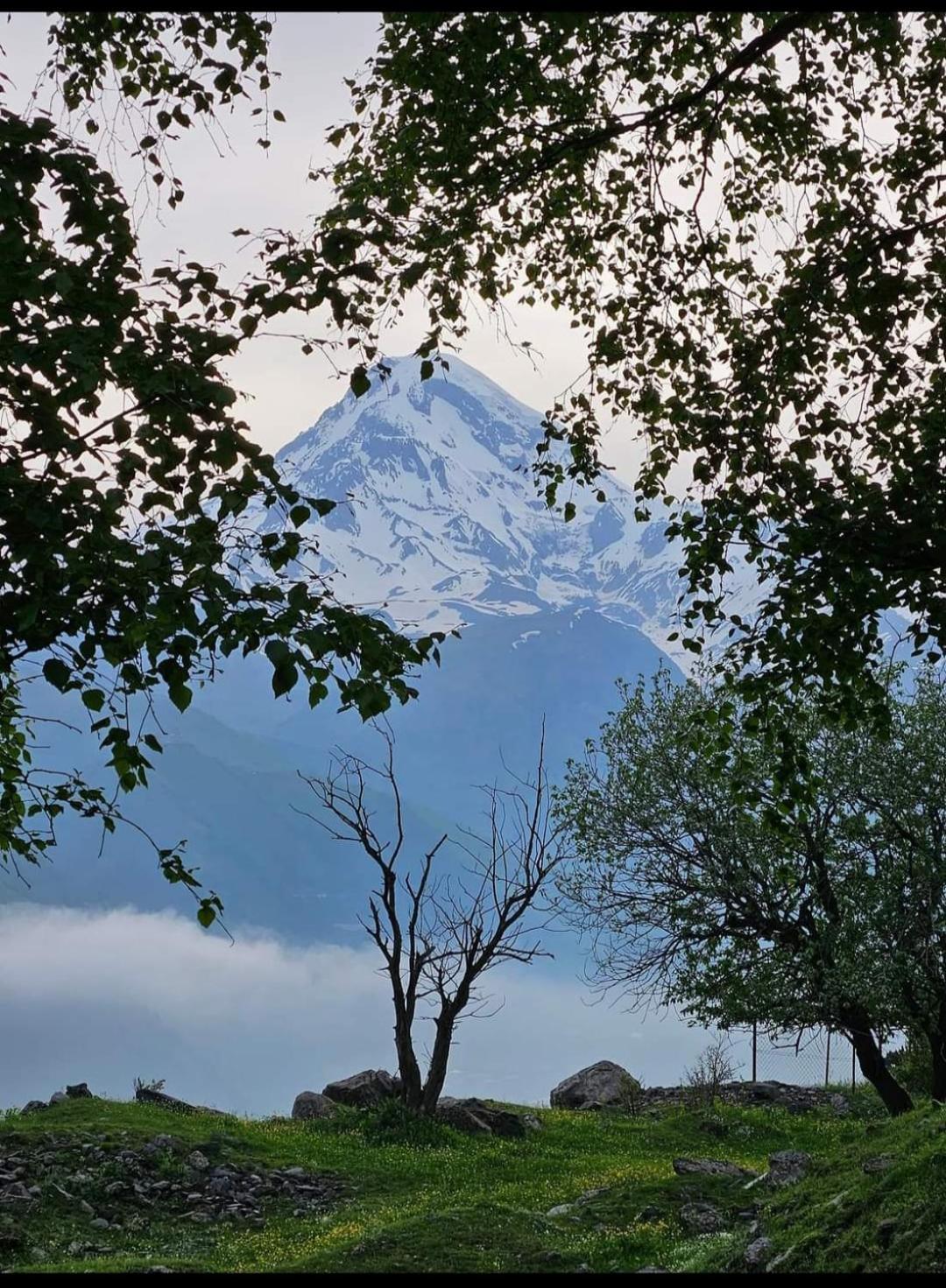 מלון Crystal Kazbegi מראה חיצוני תמונה